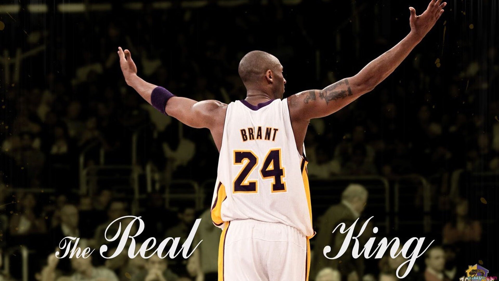 孙兴慜，撕裂防线的关键先生，如何用一己之力改写葡波战局？