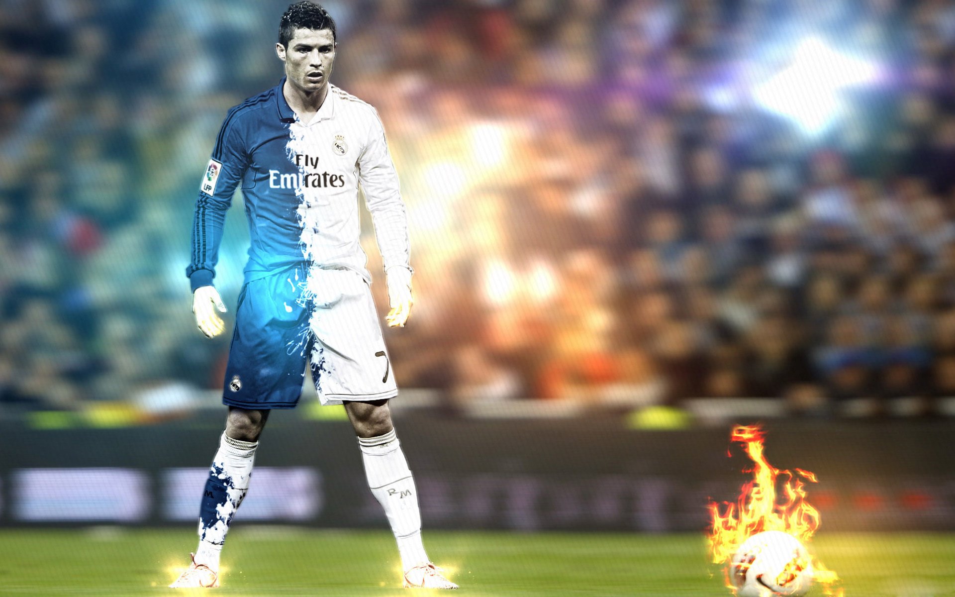 武切维奇，钢铁防线，与北美寒夜共振